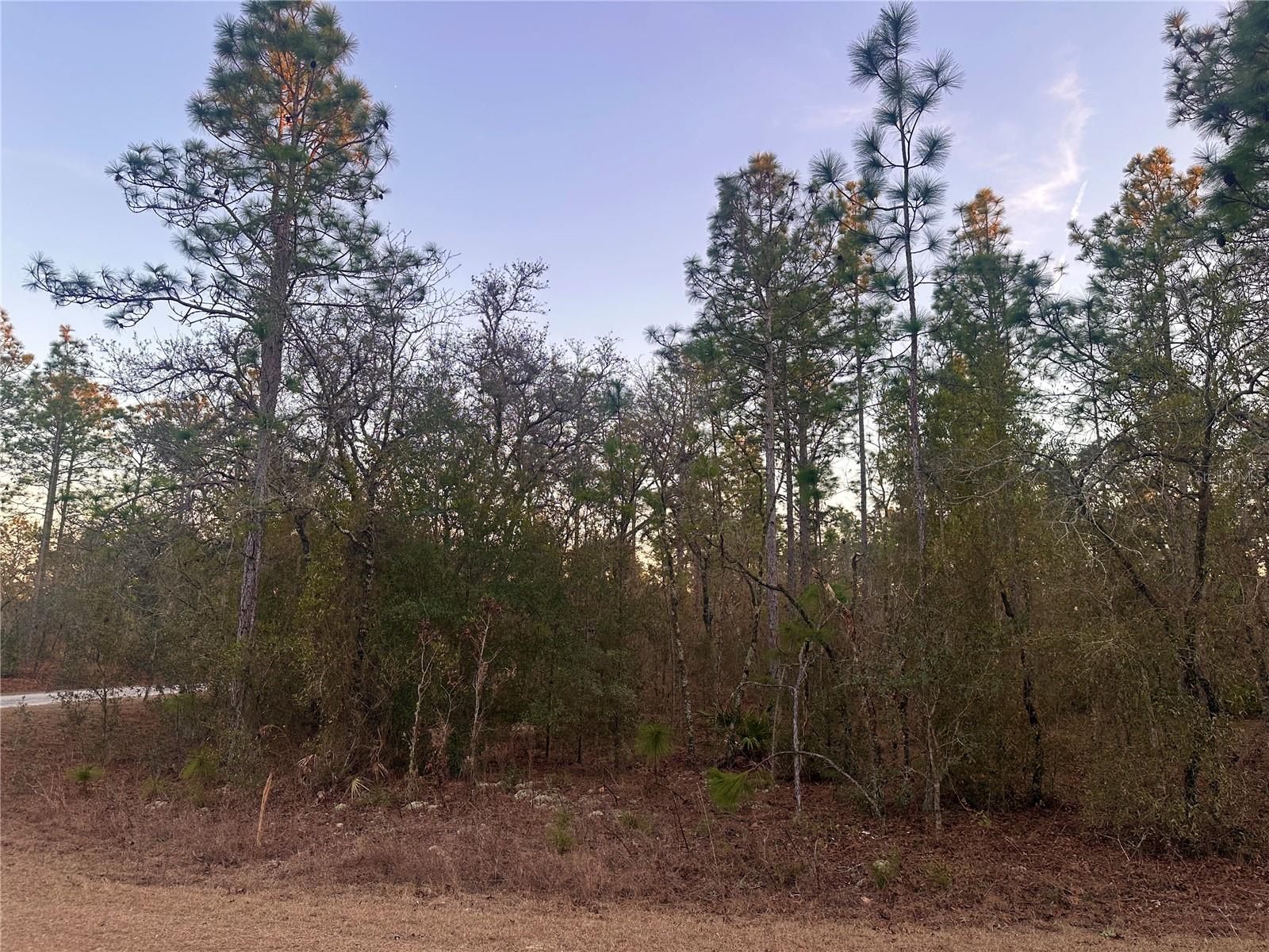 Image 7 of 11 For 0000 130th Terrace