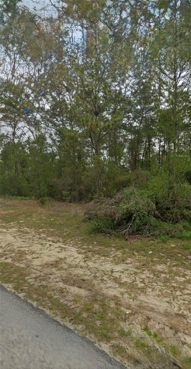Details for Tbd Sw 44th Circle, OCALA, FL 34473