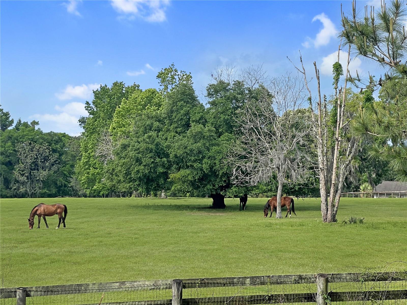 Image 2 of 7 For 5378 Highway 329