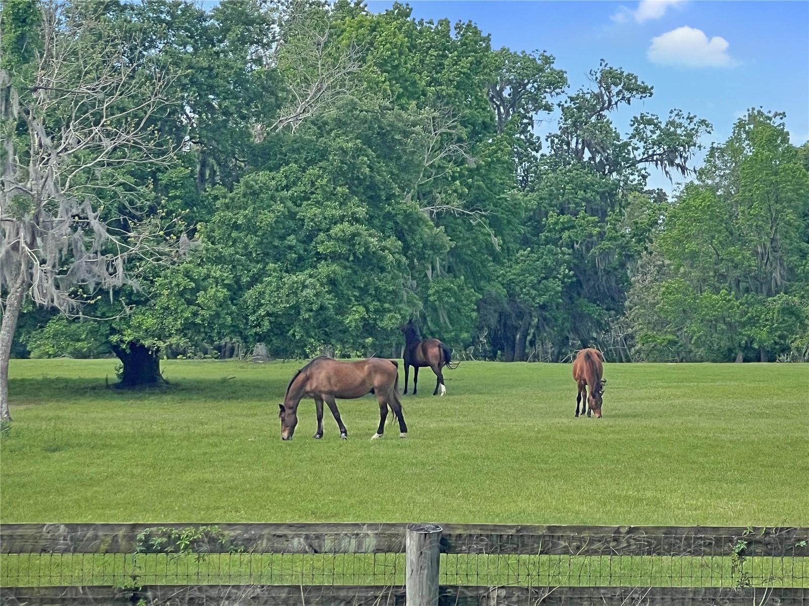 Image 5 of 7 For 5378 Highway 329