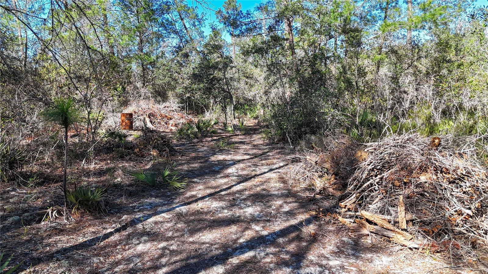 Image 16 of 23 For 6646 Percale Terrace