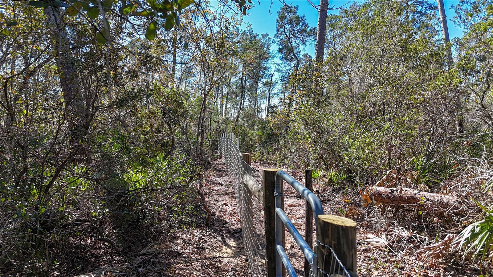 Image 17 of 23 For 6646 Percale Terrace