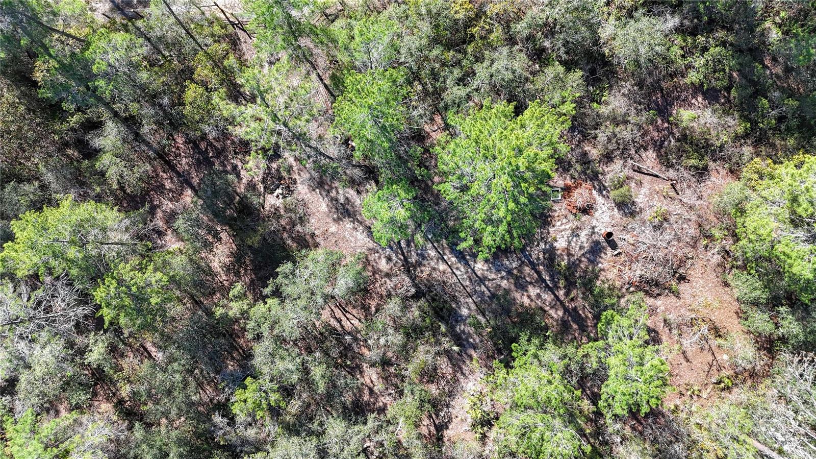 Image 19 of 23 For 6646 Percale Terrace