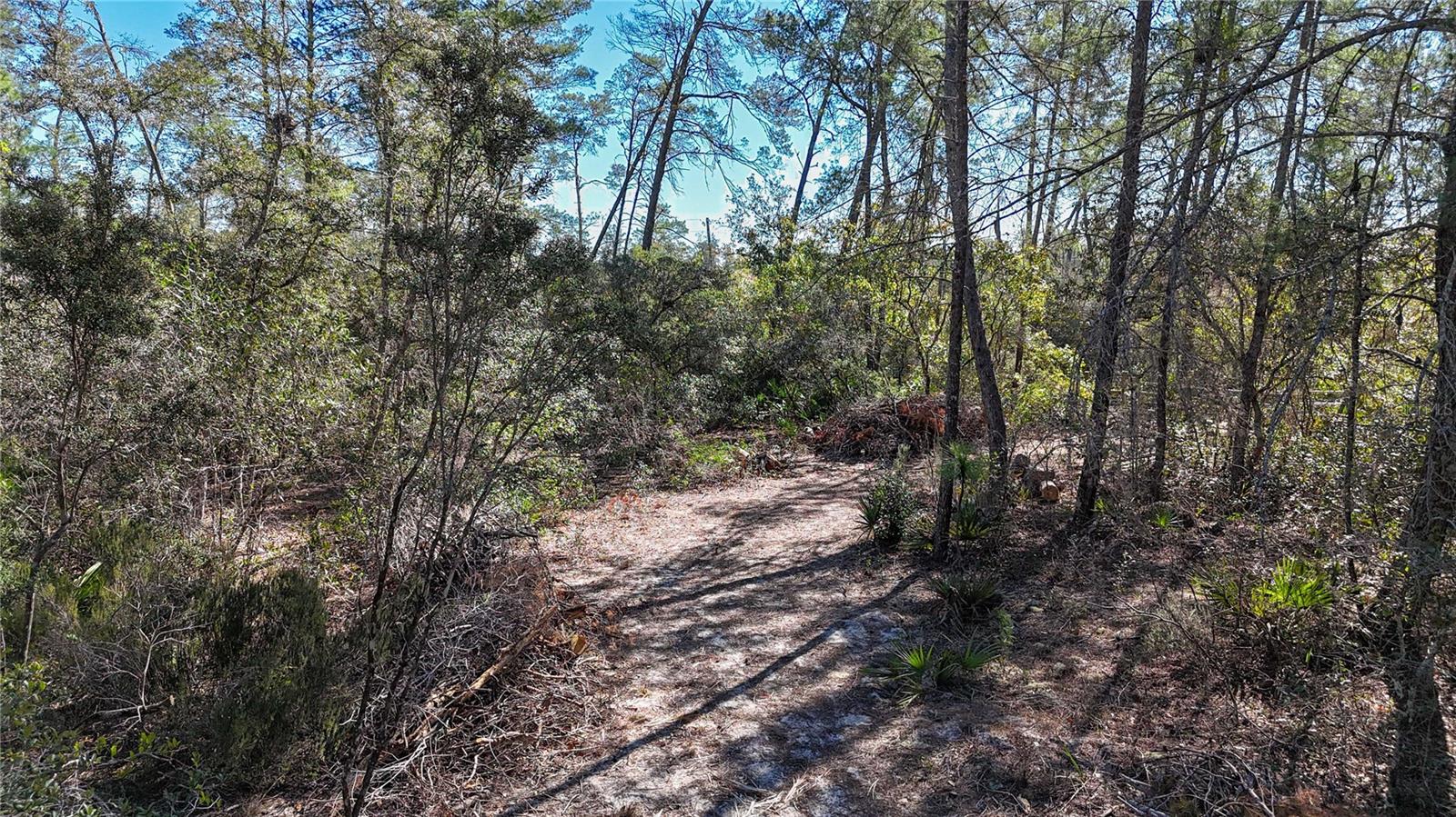 Image 20 of 23 For 6646 Percale Terrace