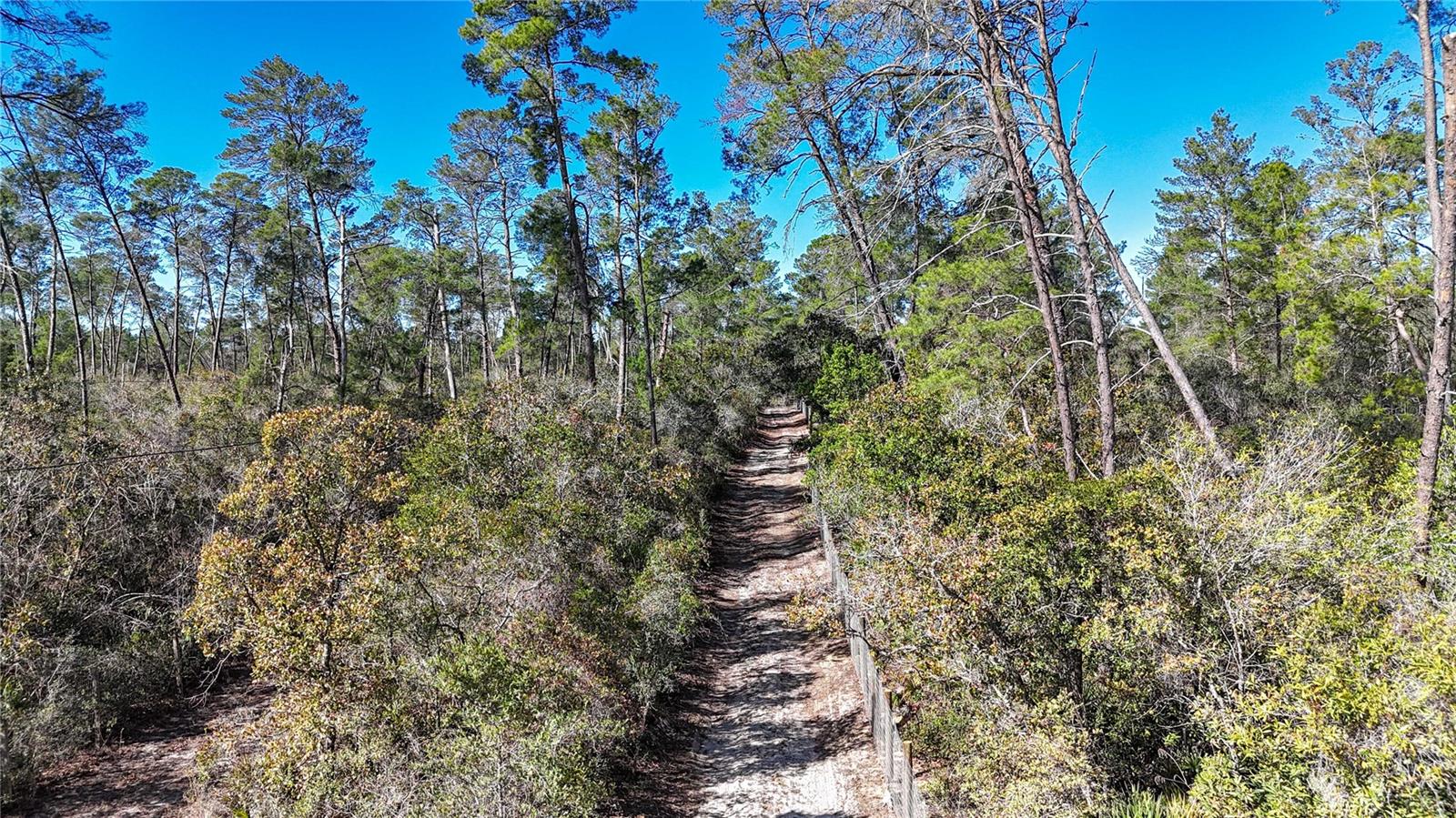 Image 4 of 23 For 6646 Percale Terrace