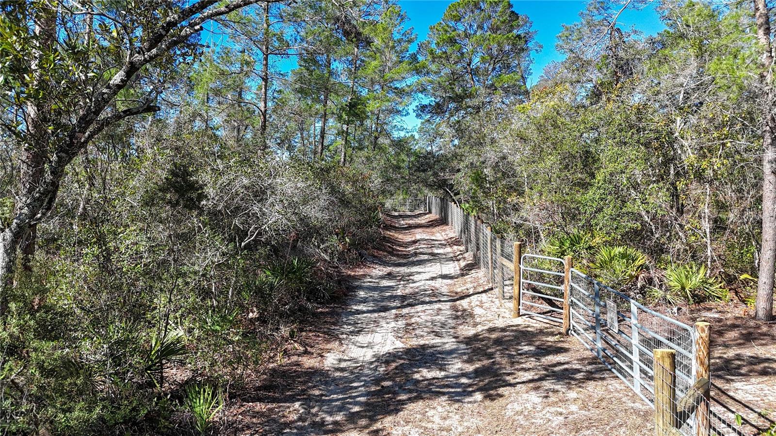 Image 5 of 23 For 6646 Percale Terrace