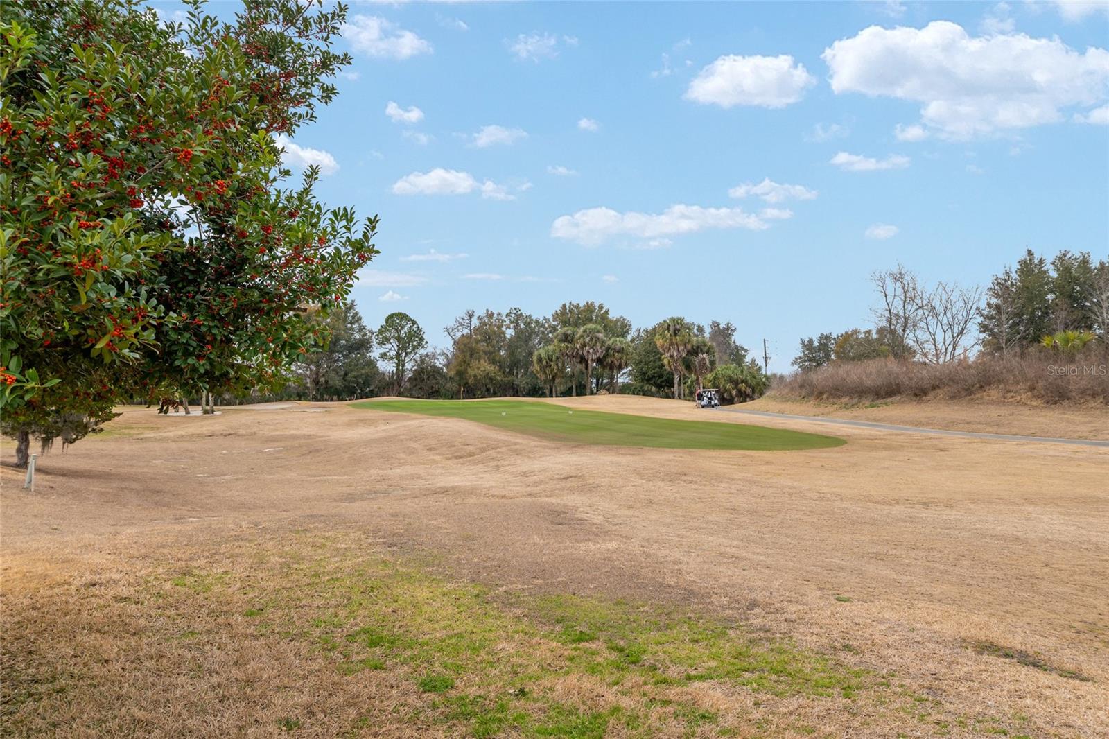 Image 59 of 82 For 15050 14th Avenue Road