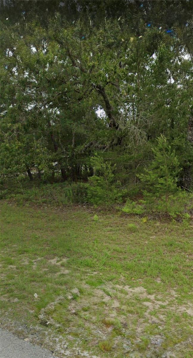 Listing Details for Tbd 55th Court Rd, OCALA, FL 34473