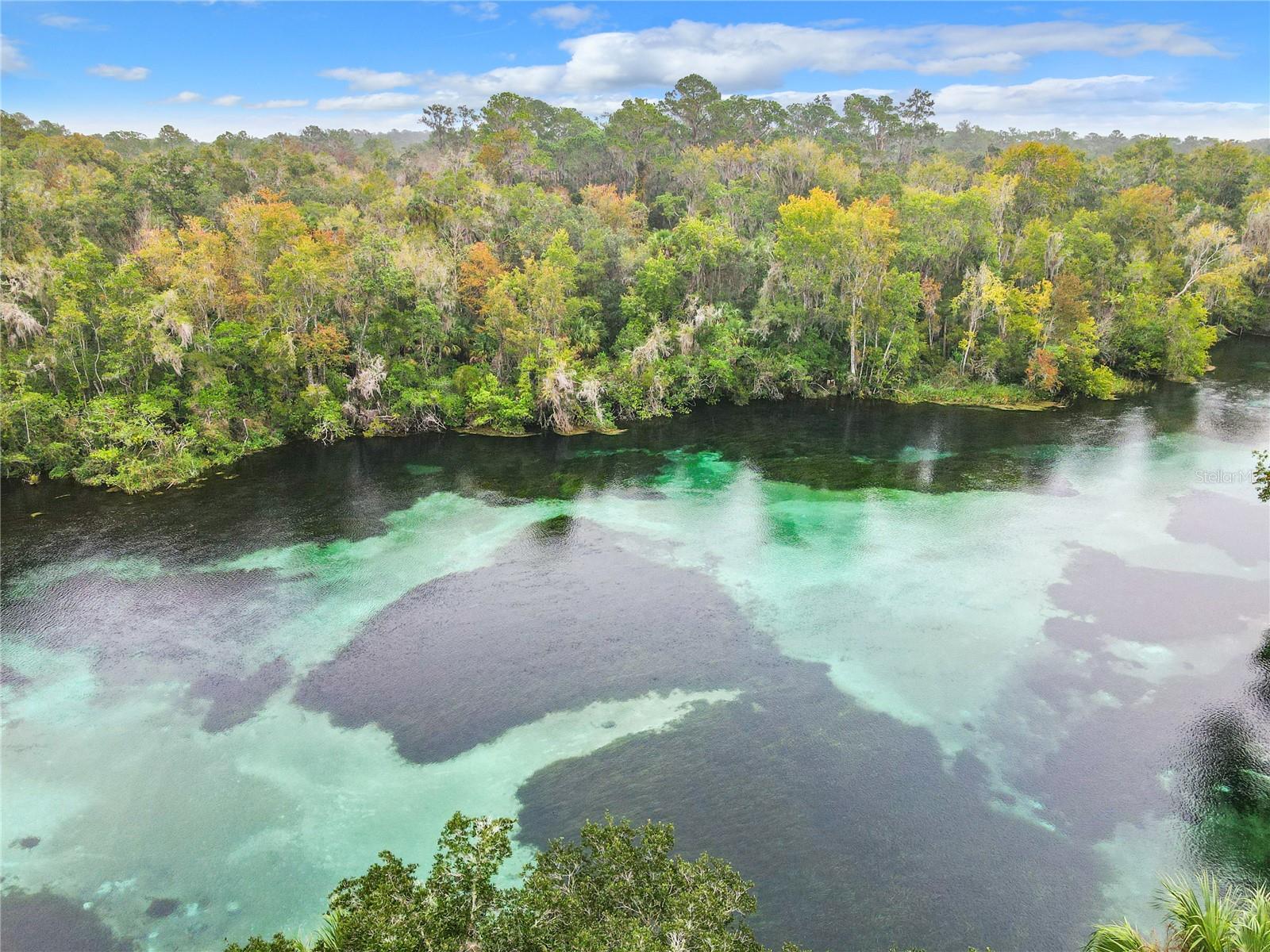 Image 61 of 63 For 20707 Park Avenue