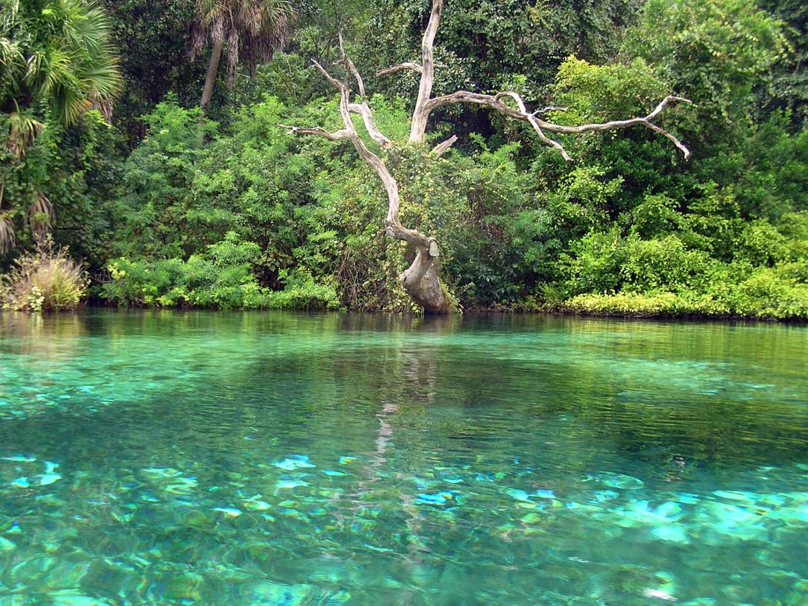 Image 63 of 63 For 20707 Park Avenue