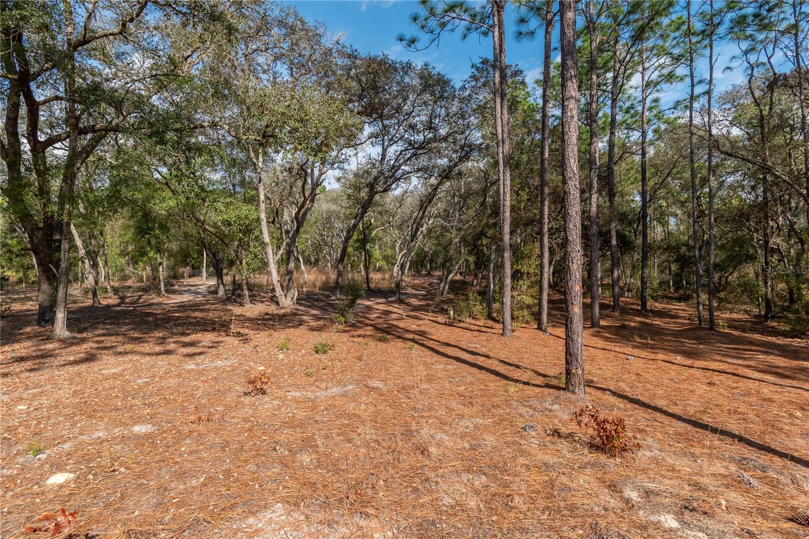 Image 46 of 61 For 20687 59th Lane