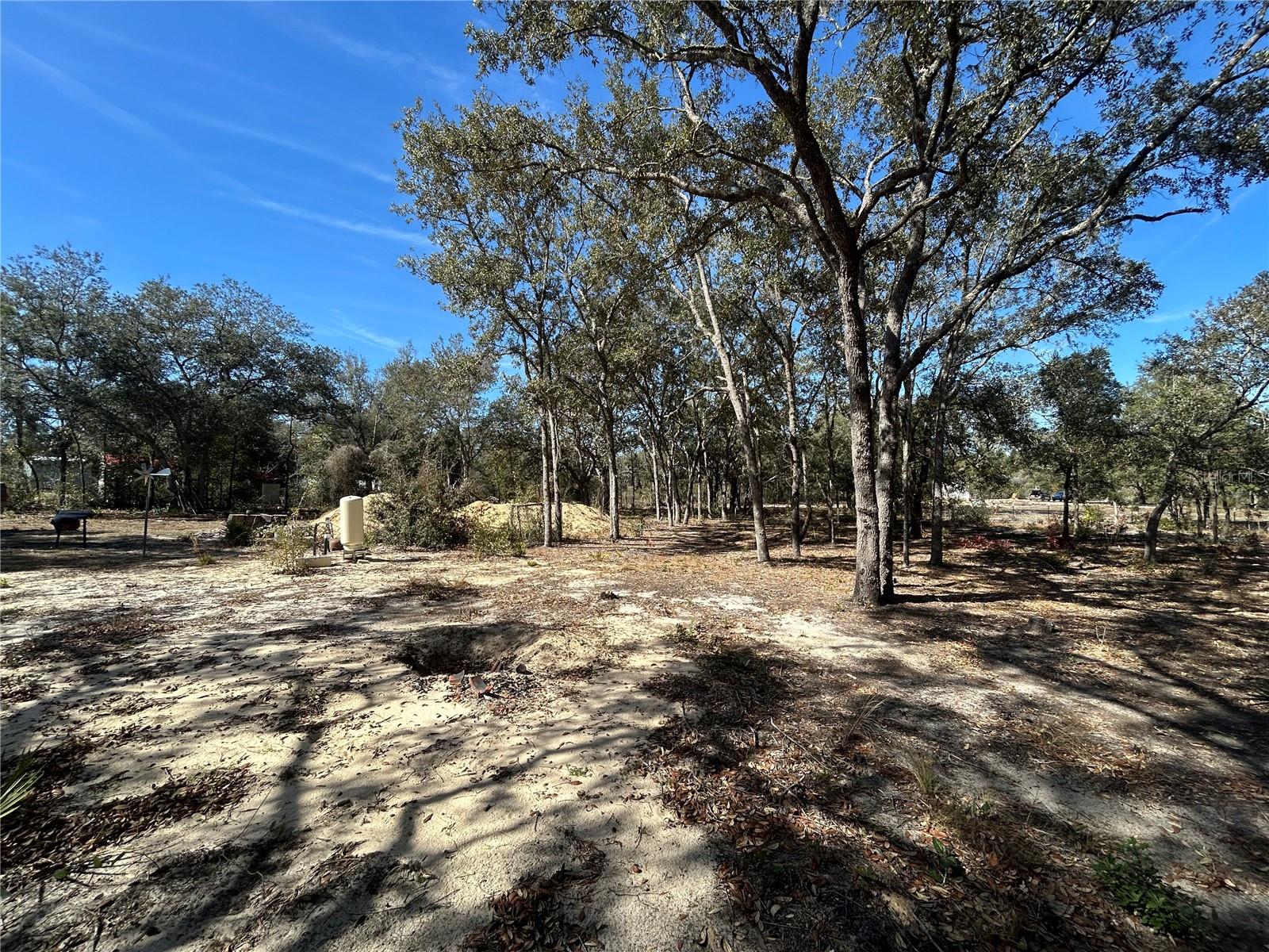 Image 3 of 16 For 11431 71st Street