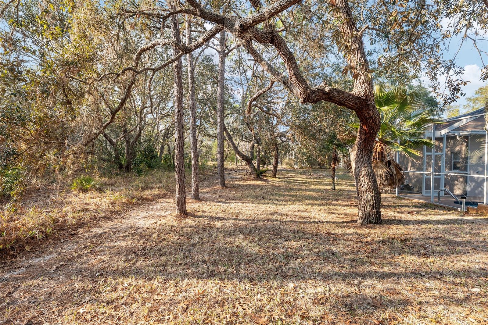 Image 80 of 89 For 147 Corkwood Boulevard