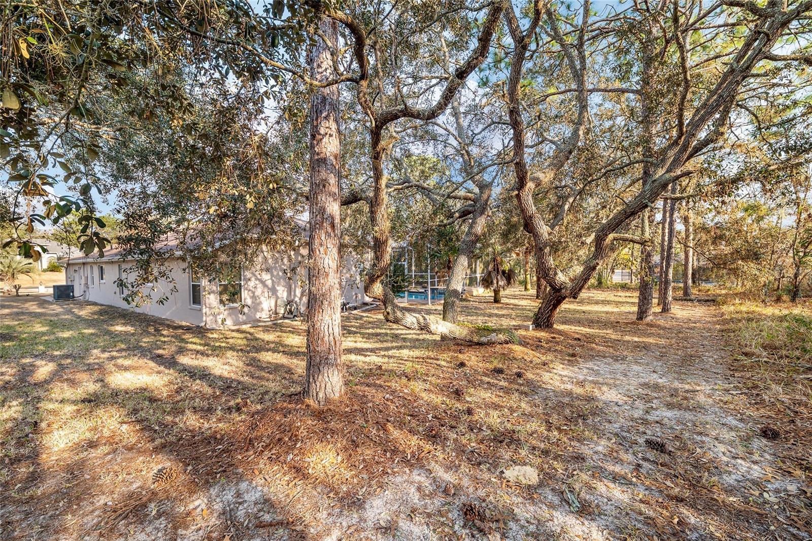 Image 81 of 89 For 147 Corkwood Boulevard