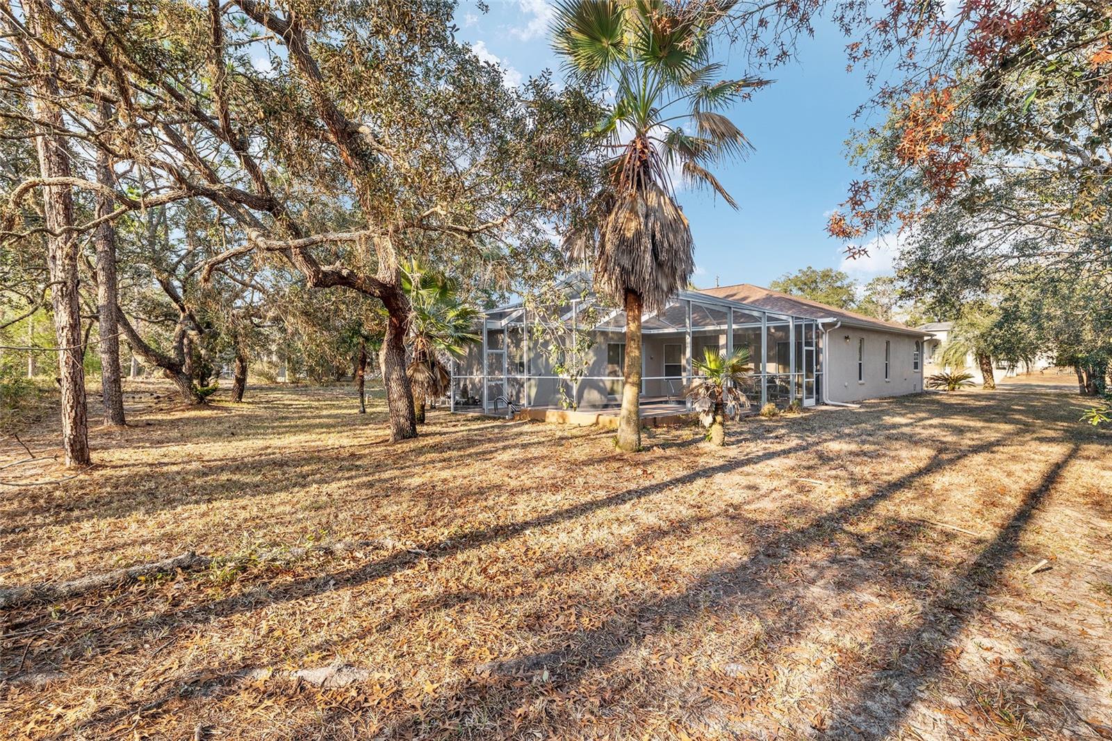 Image 85 of 89 For 147 Corkwood Boulevard