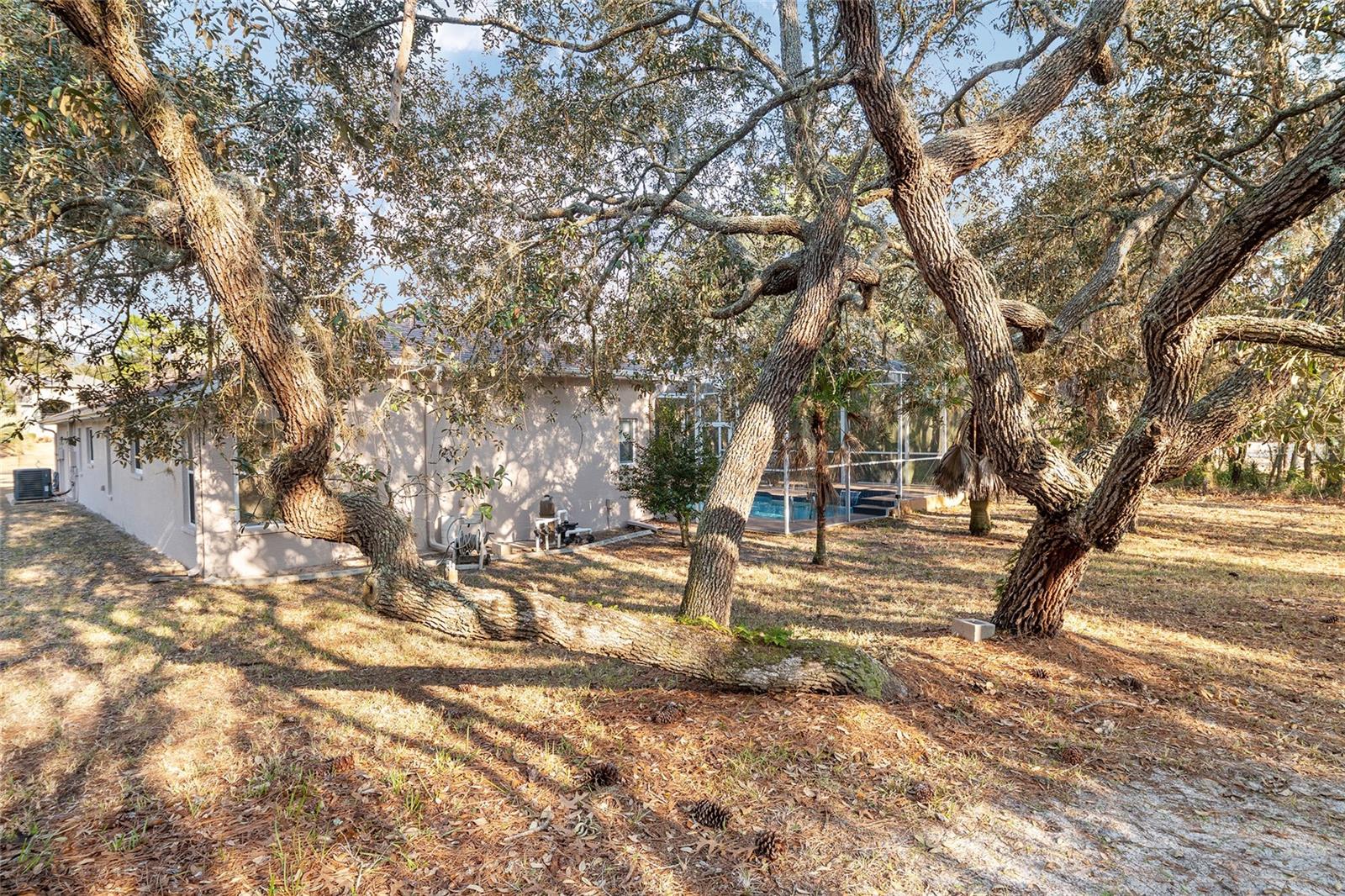 Image 88 of 89 For 147 Corkwood Boulevard