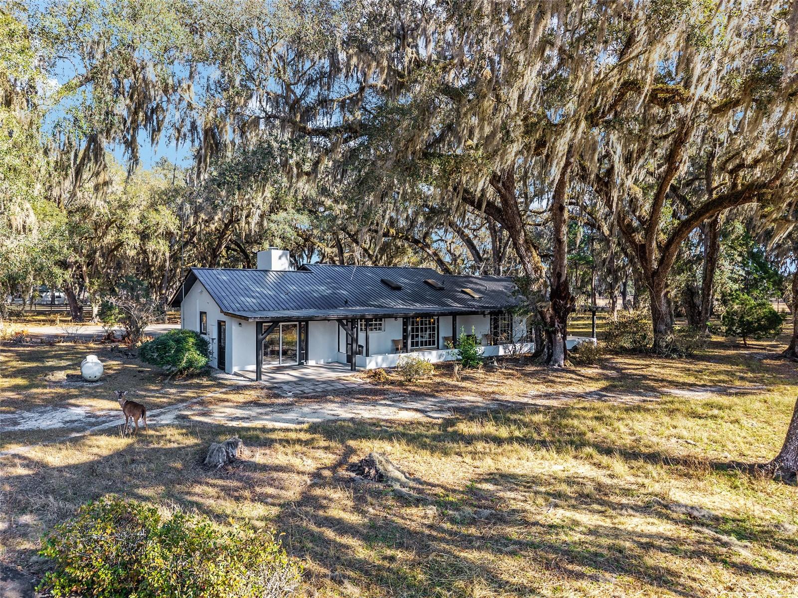 Details for 15178 47th Avenue, CITRA, FL 32113