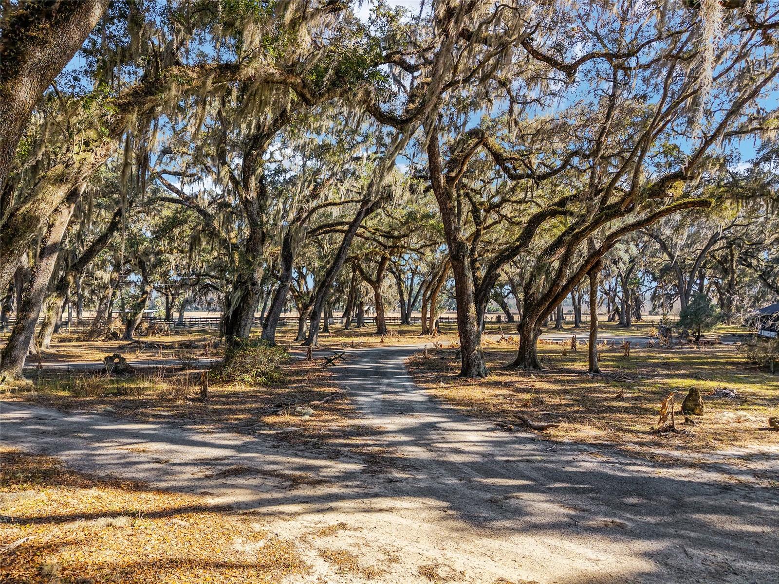 Image 56 of 79 For 15178 47th Avenue