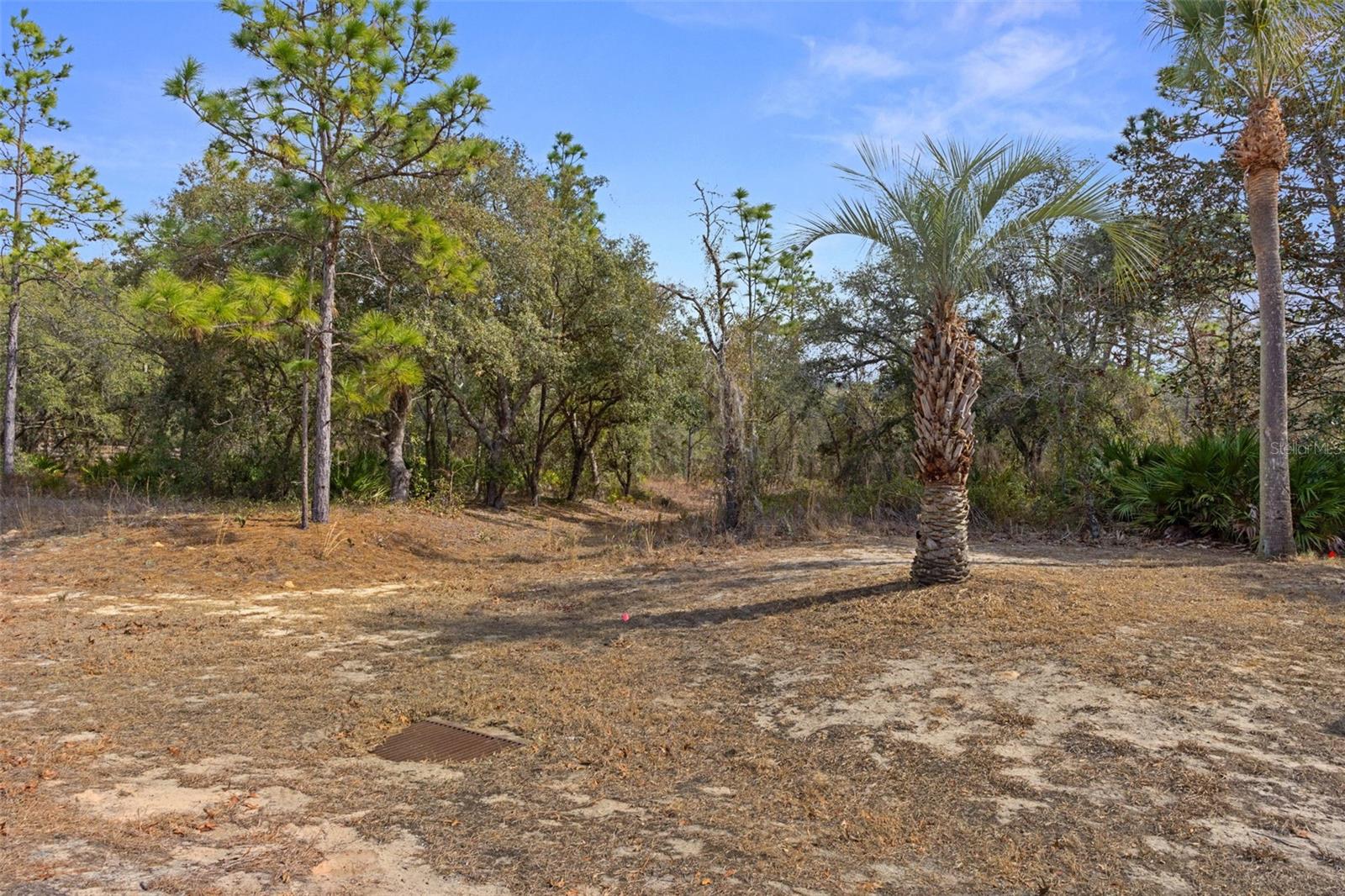 Image 61 of 87 For 3337 Yacht Terrace