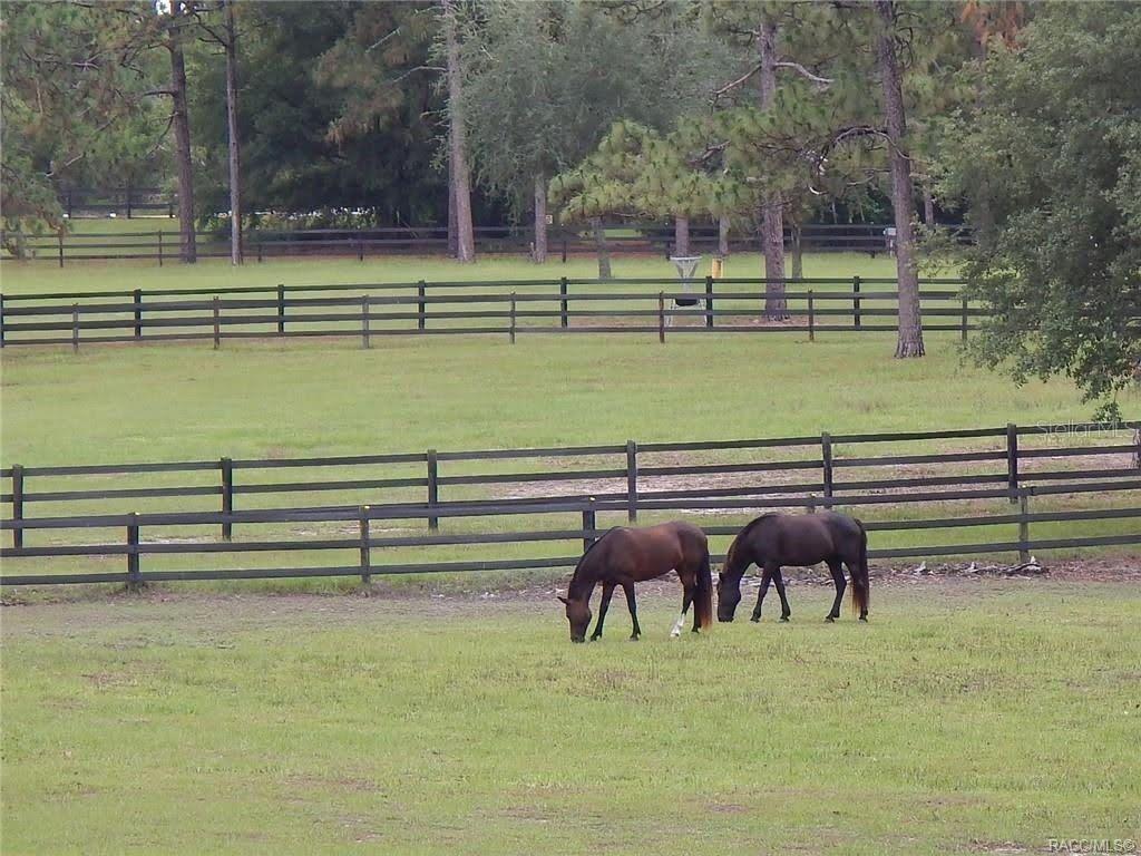 Image 19 of 37 For 4976 Yearling Drive