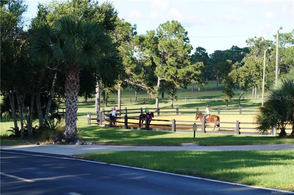 Image 20 of 37 For 4976 Yearling Drive