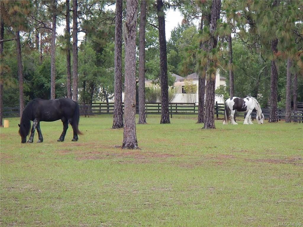 Image 21 of 37 For 4976 Yearling Drive