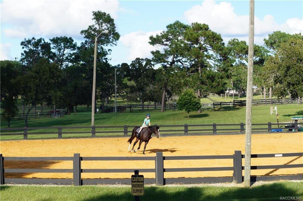 Image 34 of 37 For 4976 Yearling Drive