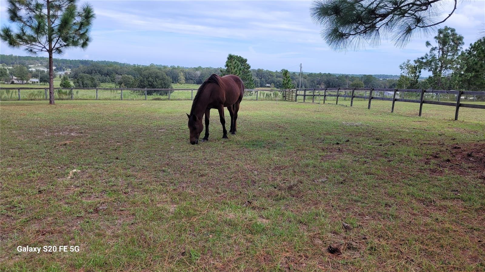 Image 45 of 58 For 7150 147th Avenue 1