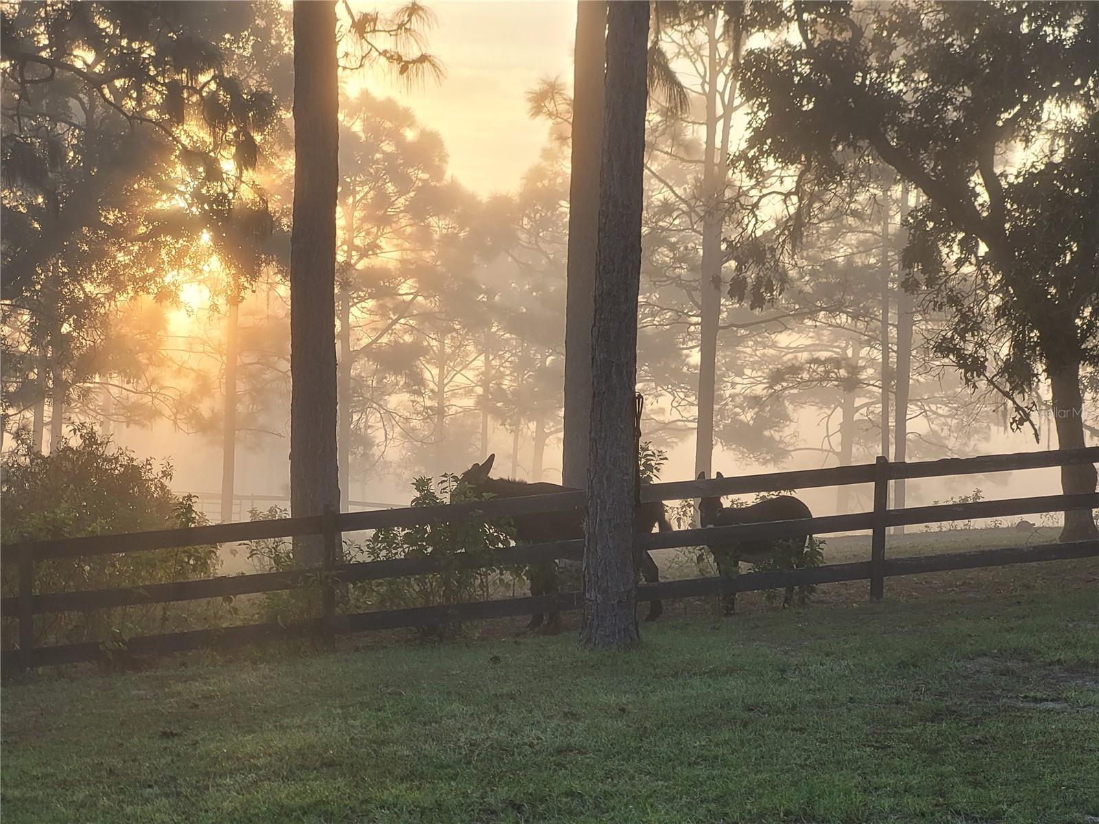 Image 47 of 58 For 7150 147th Avenue 1