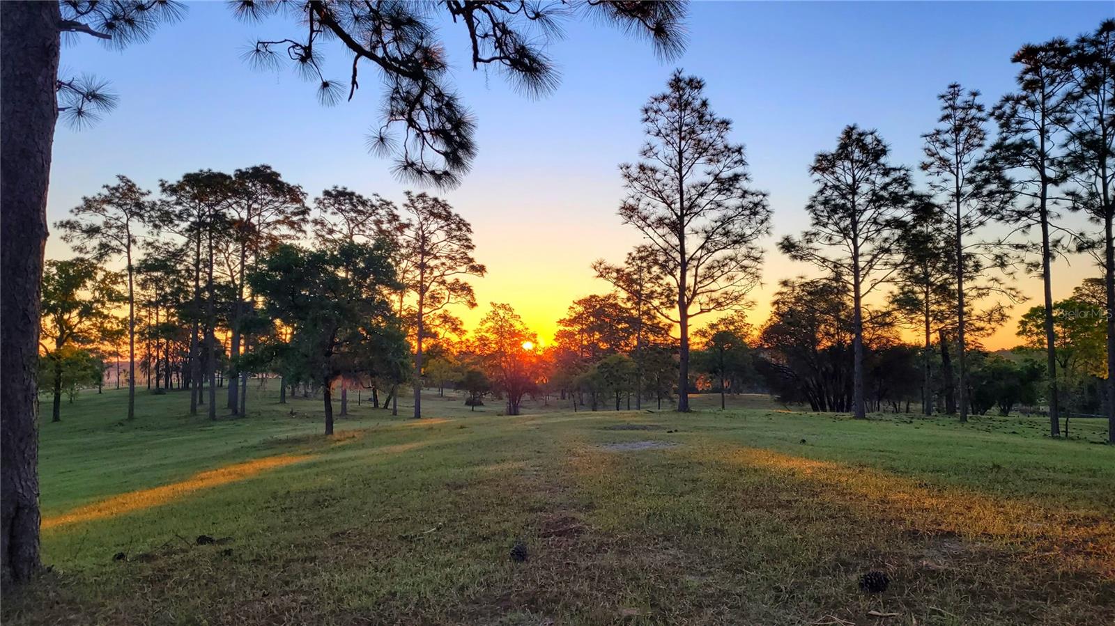 Image 55 of 58 For 7150 147th Avenue 1