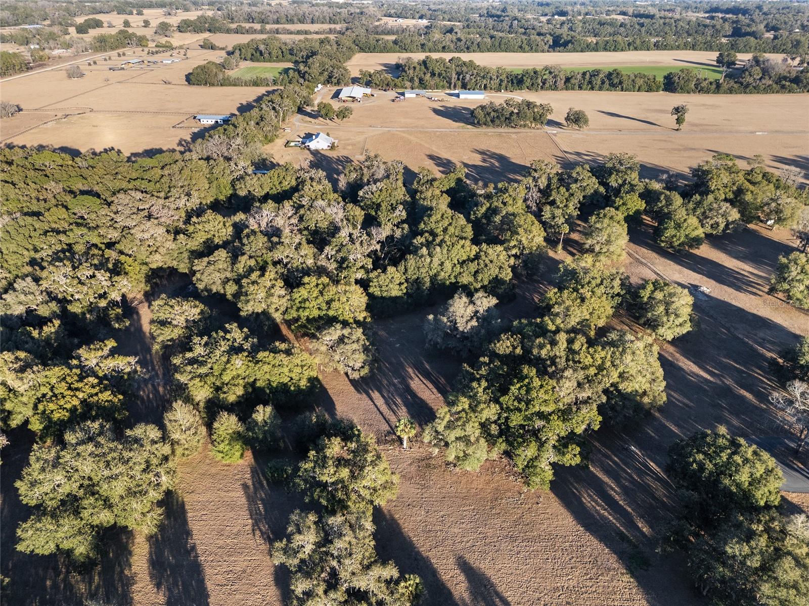 Details for Tbd 328  , REDDICK, FL 32686