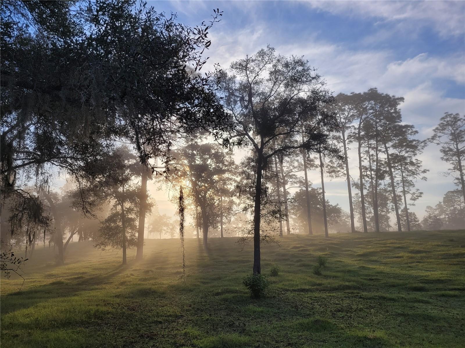 Image 24 of 55 For 7150 Se 147 Ave  2