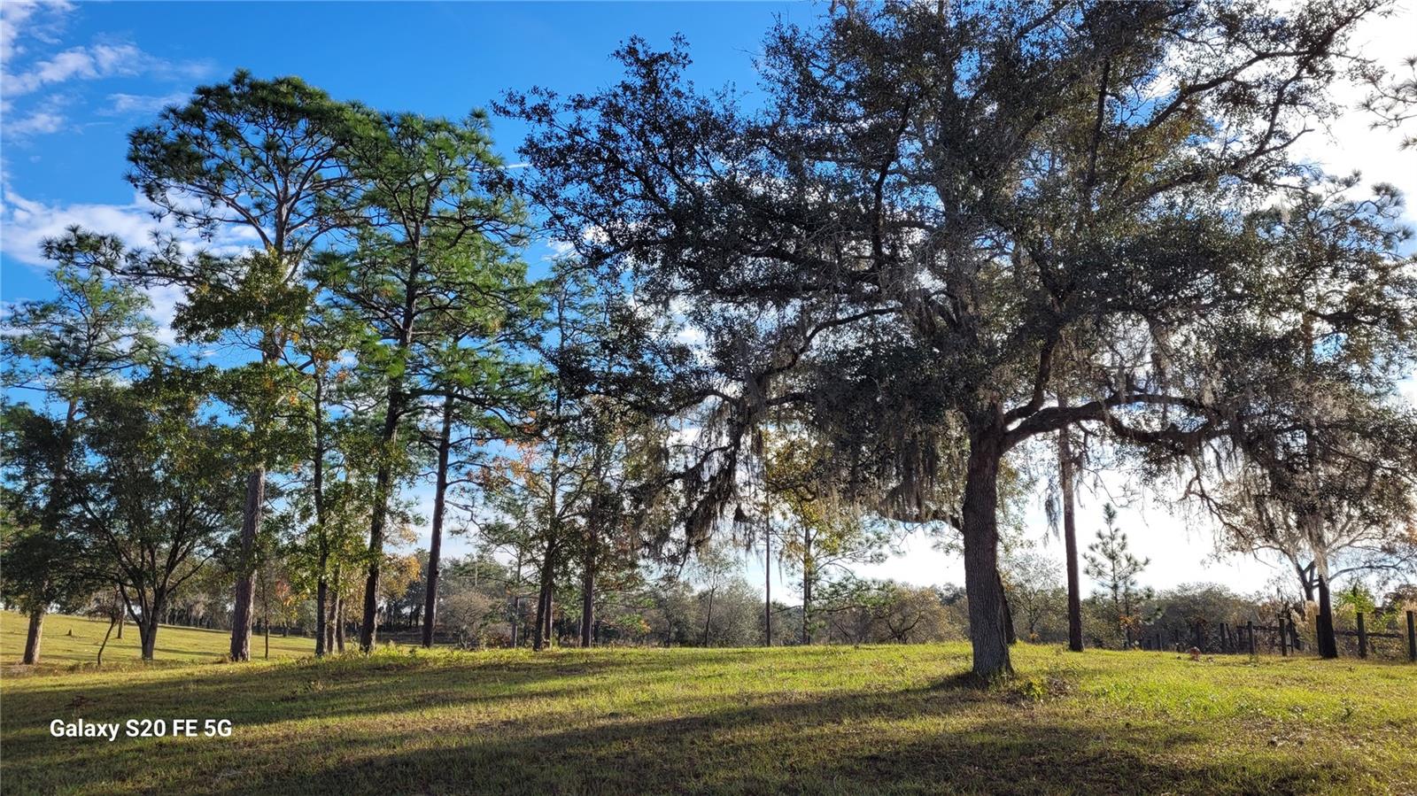 Image 30 of 55 For 7150 Se 147 Ave  2