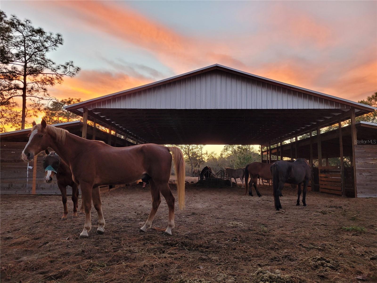 Image 31 of 55 For 7150 Se 147 Ave  2