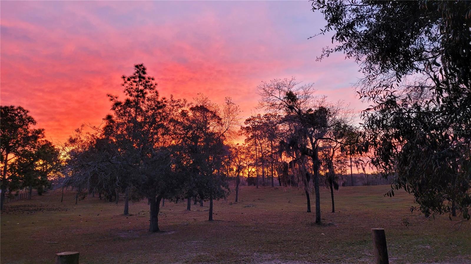 Image 50 of 55 For 7150 Se 147 Ave  2