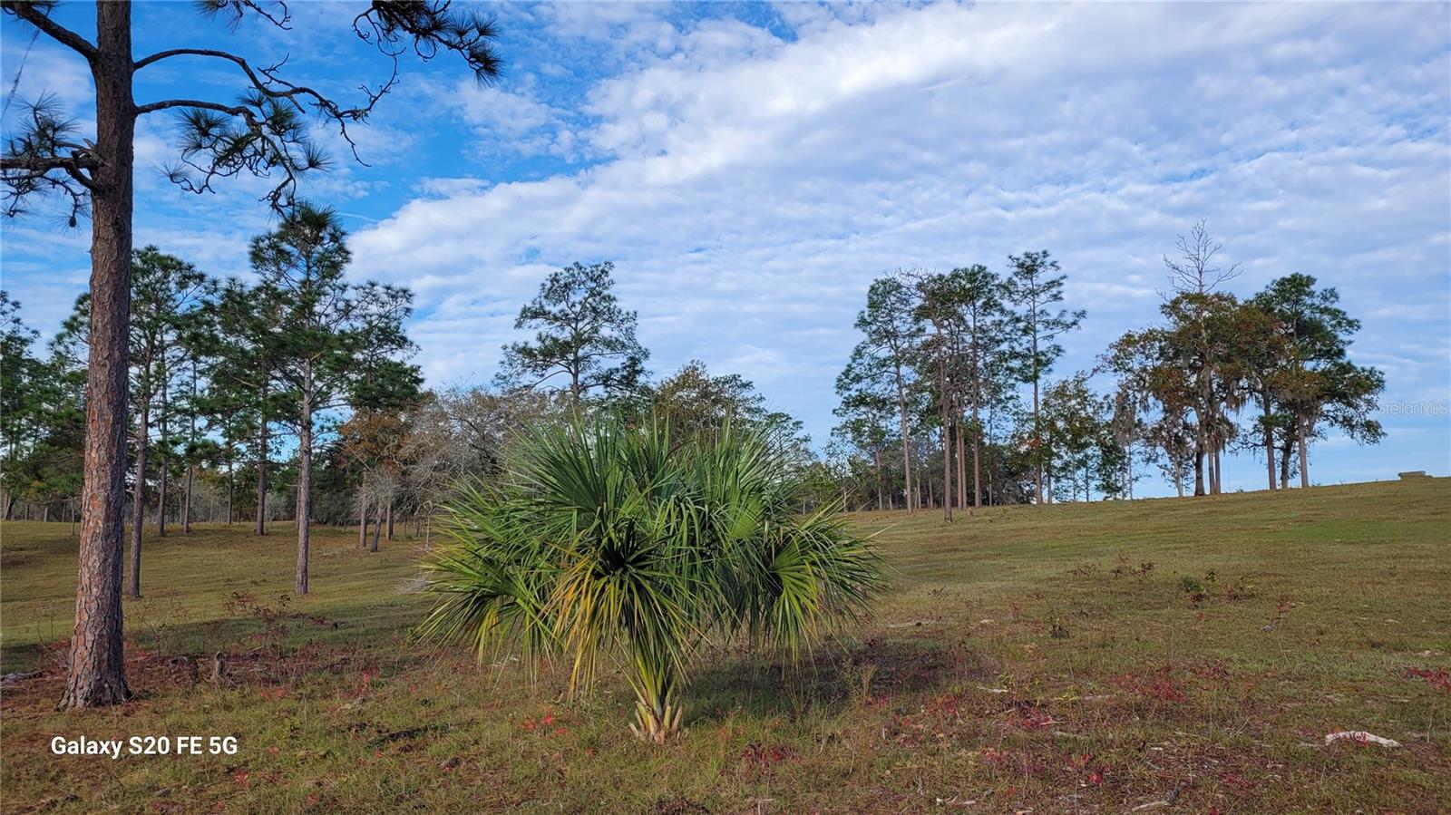 Image 55 of 55 For 7150 Se 147 Ave  2