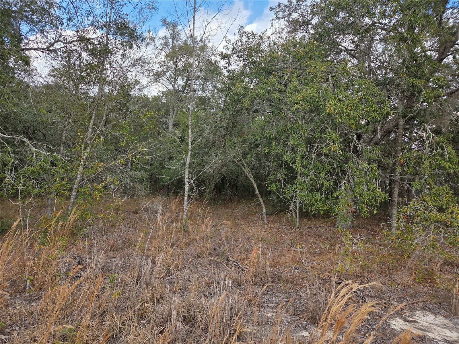 Image 2 of 6 For 21531 68th Lane