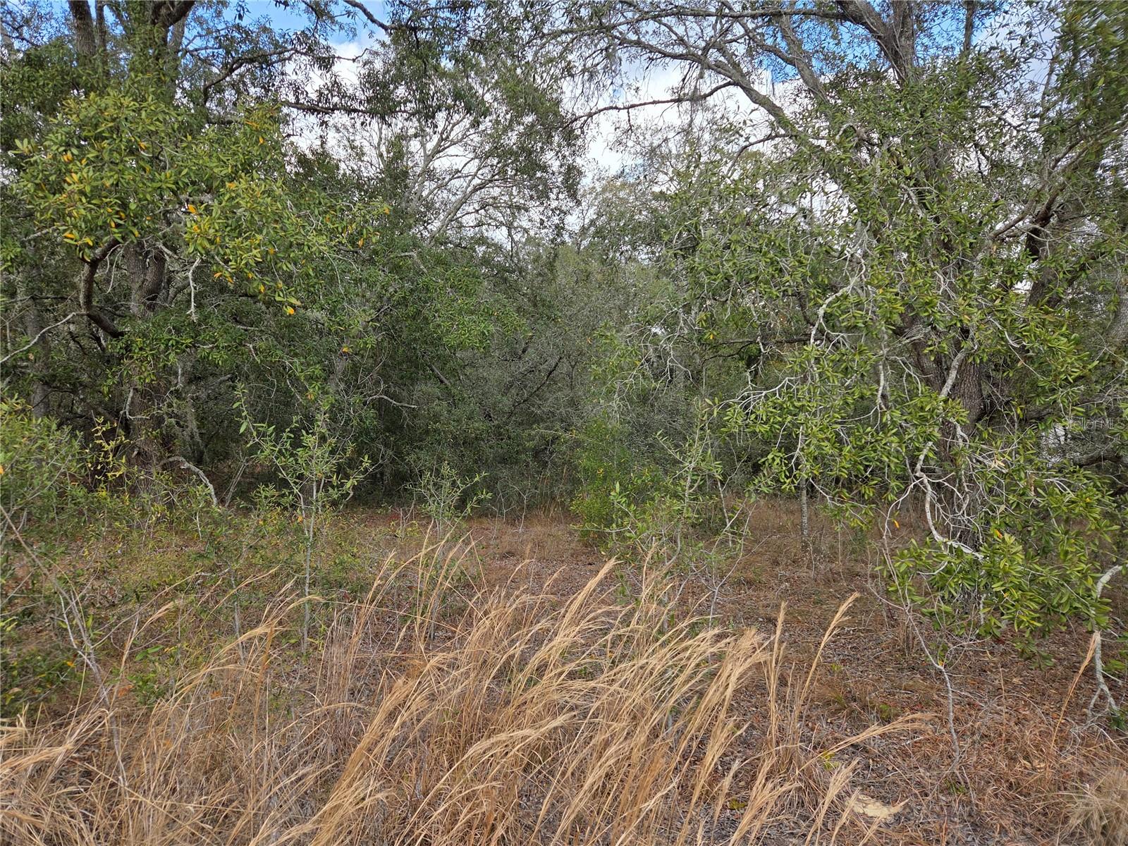 Image 3 of 6 For 21531 68th Lane