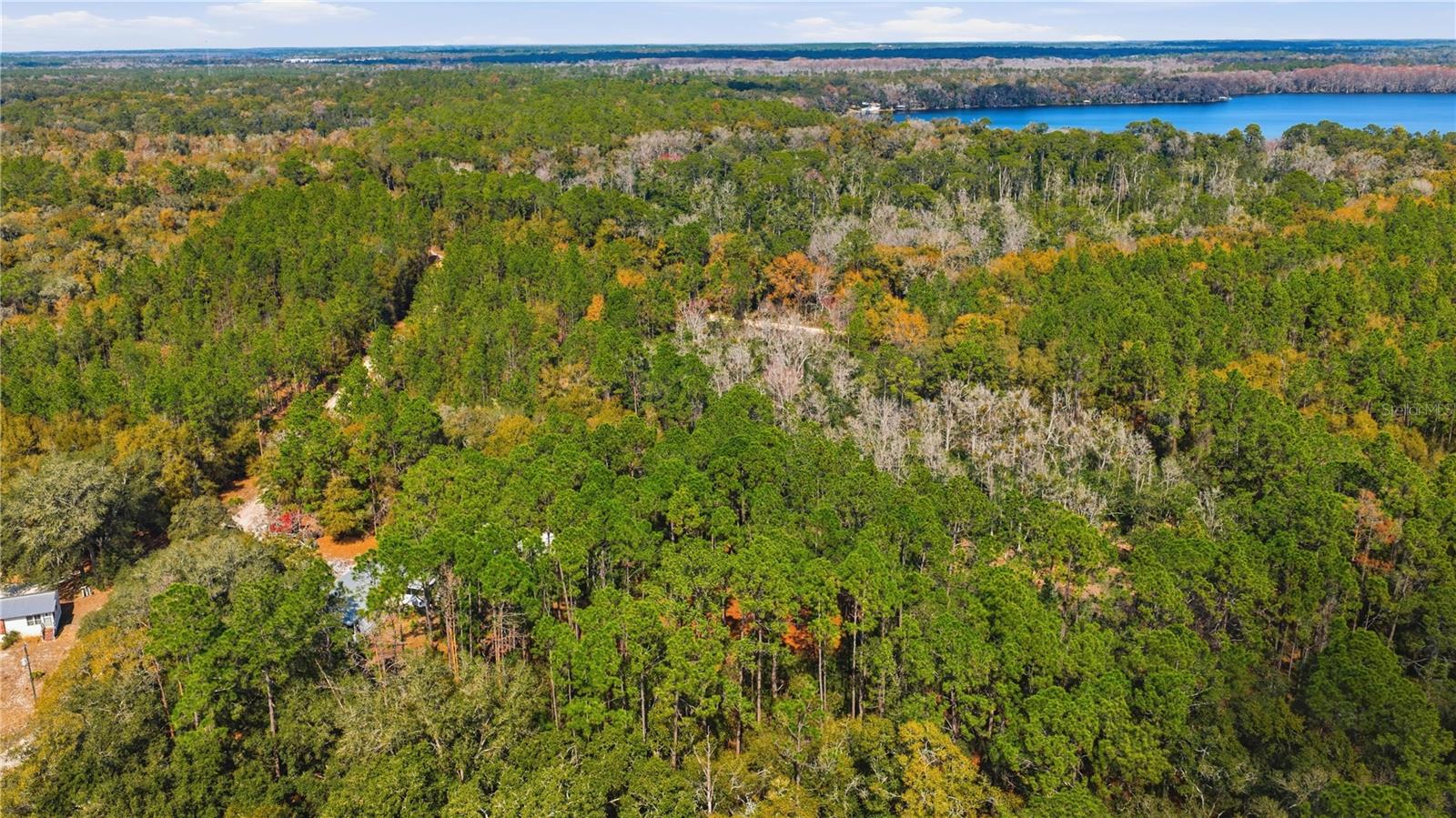 Image 41 of 46 For 115 Chapel Lane