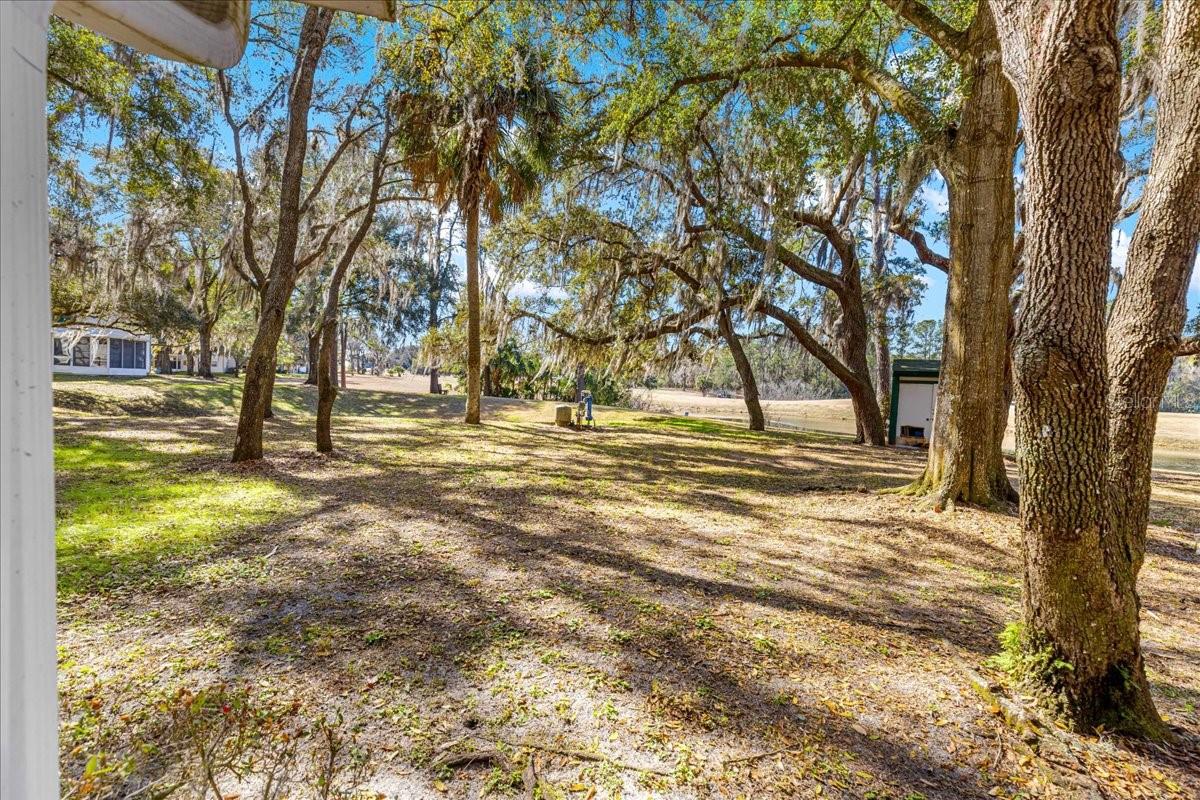 Image 35 of 43 For 7885 Midway Drive Terrace E101