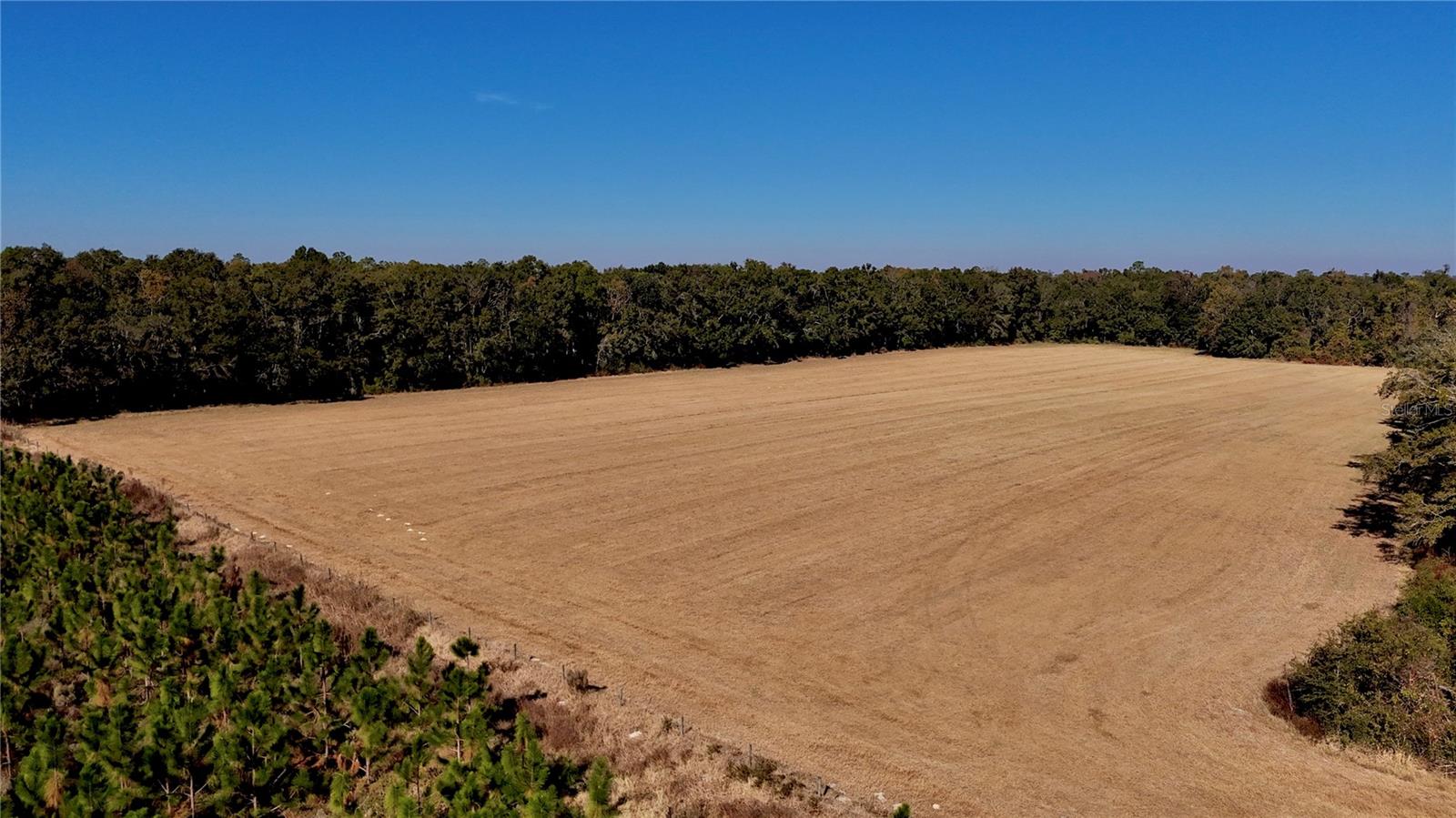 Image 10 of 36 For 00 121st Rd  