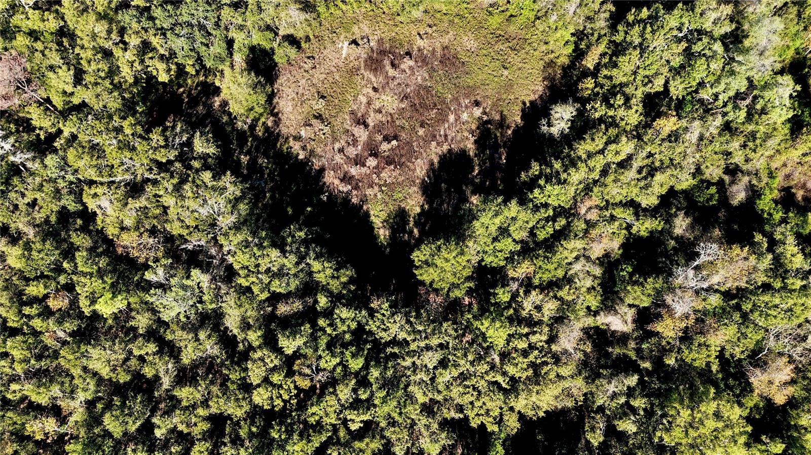 Image 13 of 36 For 00 121st Rd  