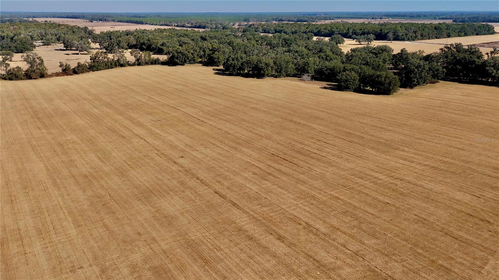 Image 16 of 36 For 00 121st Rd  