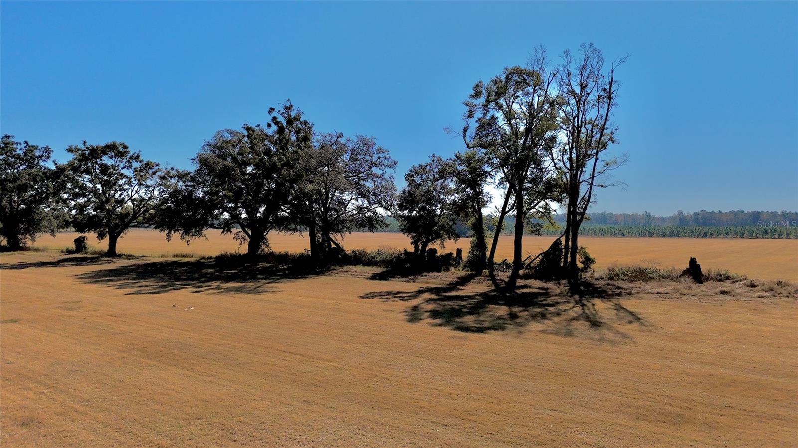 Image 18 of 36 For 00 121st Rd  