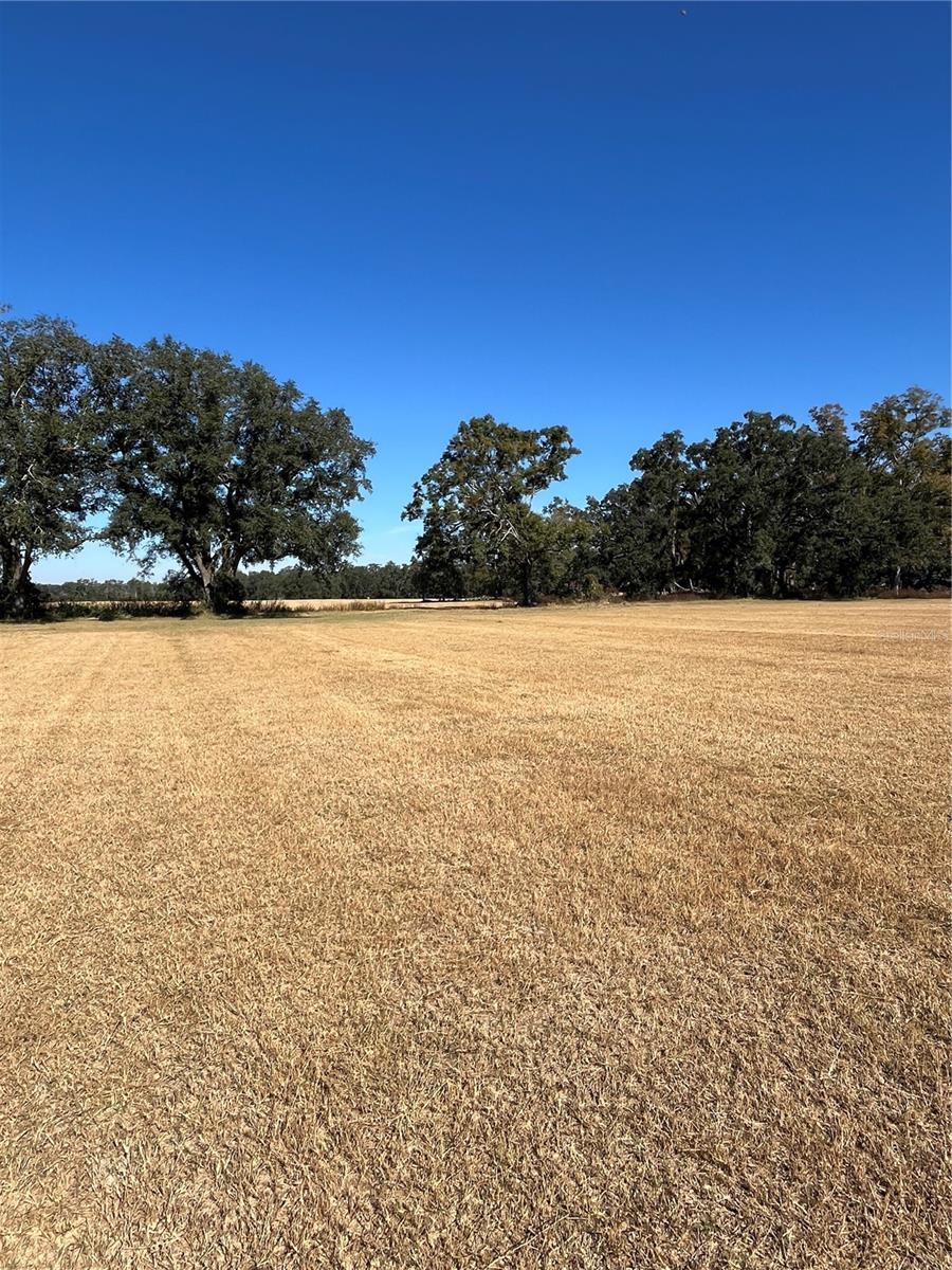 Image 20 of 36 For 00 121st Rd  