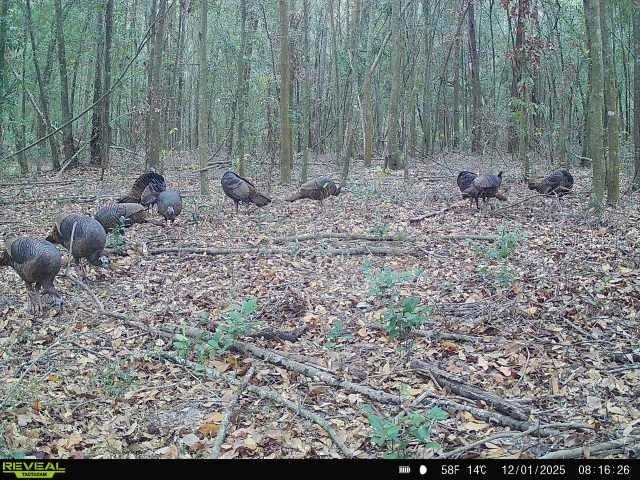 Image 31 of 36 For 00 121st Rd  