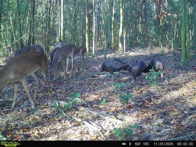 Image 32 of 36 For 00 121st Rd  