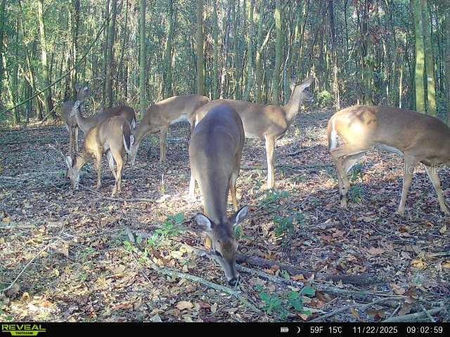 Image 33 of 36 For 00 121st Rd  