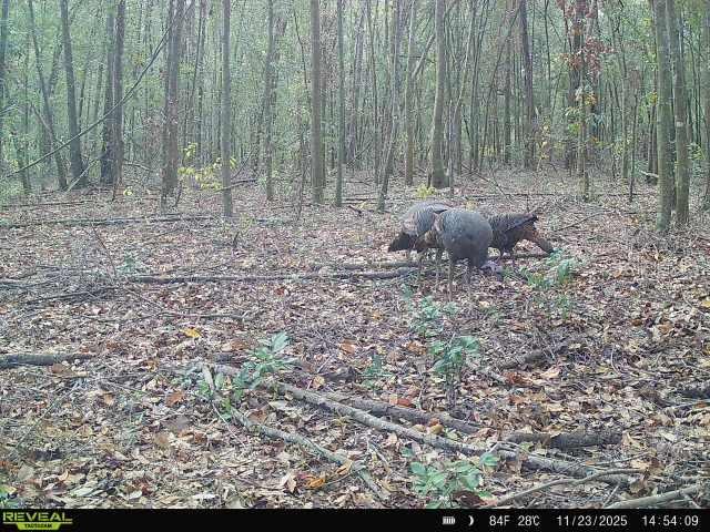 Image 34 of 36 For 00 121st Rd  