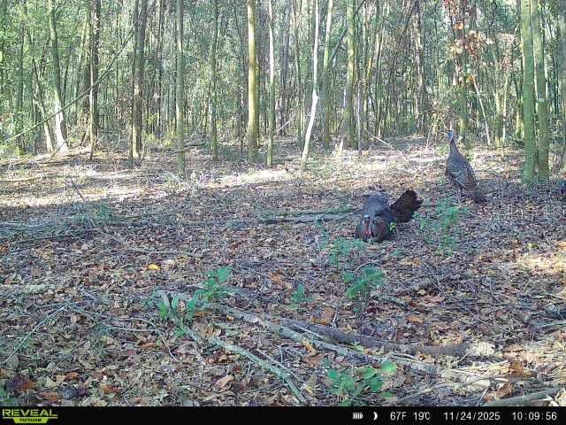 Image 35 of 36 For 00 121st Rd  